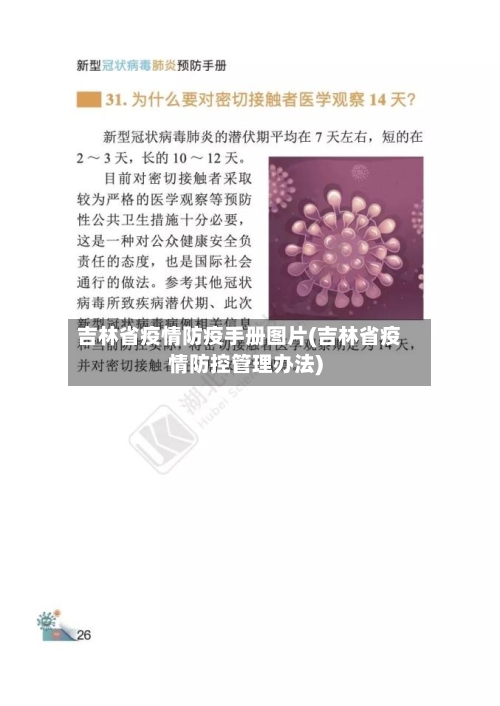吉林省疫情防疫手册图片(吉林省疫情防控管理办法)-第1张图片