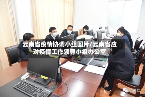 云南省疫情协调小组图片/云南省应对疫情工作领导小组办公室-第2张图片