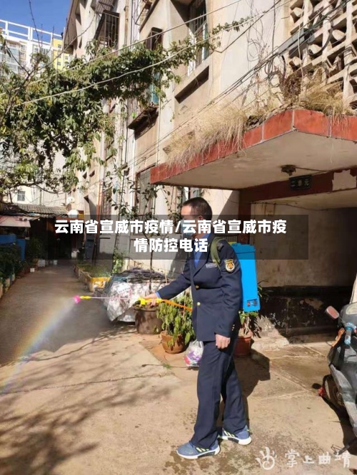 云南省宣威市疫情/云南省宣威市疫情防控电话-第1张图片