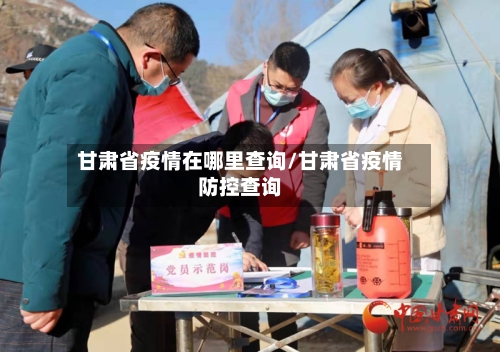 甘肃省疫情在哪里查询/甘肃省疫情防控查询-第2张图片