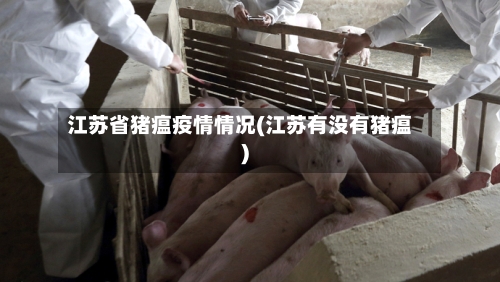 江苏省猪瘟疫情情况(江苏有没有猪瘟)-第1张图片