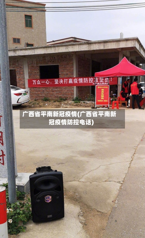 广西省平南新冠疫情(广西省平南新冠疫情防控电话)-第3张图片
