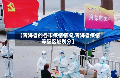 【青海省的各市疫情情况,青海省疫情等级区域划分】-第1张图片
