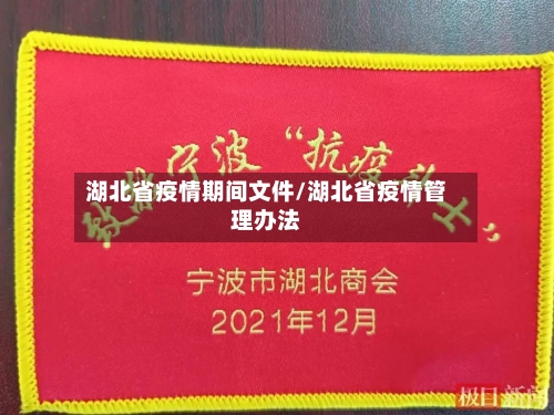 湖北省疫情期间文件/湖北省疫情管理办法-第3张图片