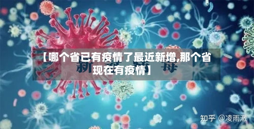 【哪个省已有疫情了最近新增,那个省现在有疫情】-第1张图片