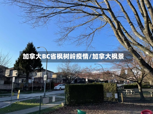 加拿大BC省枫树岭疫情/加拿大枫景-第1张图片