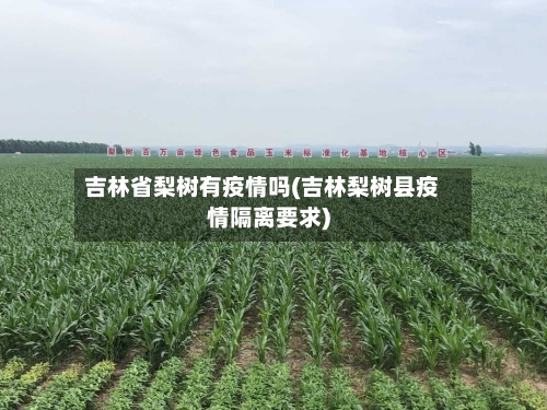 吉林省梨树有疫情吗(吉林梨树县疫情隔离要求)-第1张图片