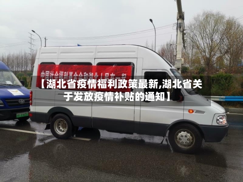 【湖北省疫情福利政策最新,湖北省关于发放疫情补贴的通知】-第2张图片