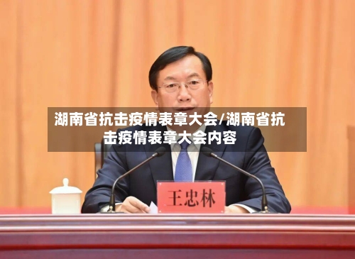 湖南省抗击疫情表章大会/湖南省抗击疫情表章大会内容-第2张图片