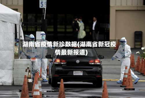 湖南省疫情新珍数据(湖南省新冠疫情最新报道)-第2张图片