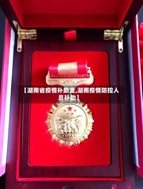 【湖南省疫情补助金,湖南疫情防控人员补助】-第2张图片