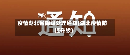 疫情湖北省降级处理通知(湖北疫情防控升级)-第2张图片