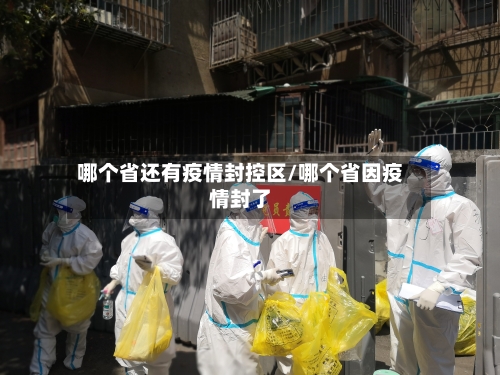 哪个省还有疫情封控区/哪个省因疫情封了-第3张图片