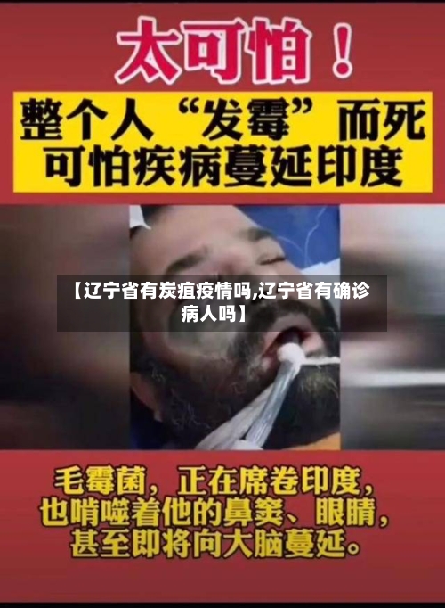 【辽宁省有炭疽疫情吗,辽宁省有确诊病人吗】-第1张图片