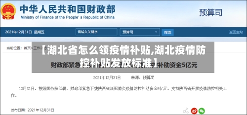 【湖北省怎么领疫情补贴,湖北疫情防控补贴发放标准】-第1张图片