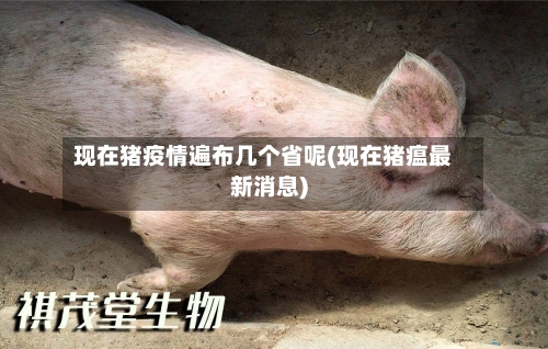 现在猪疫情遍布几个省呢(现在猪瘟最新消息)-第2张图片