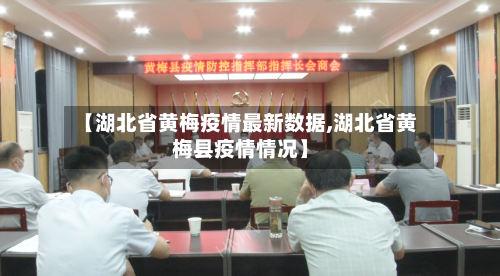 【湖北省黄梅疫情最新数据,湖北省黄梅县疫情情况】-第1张图片