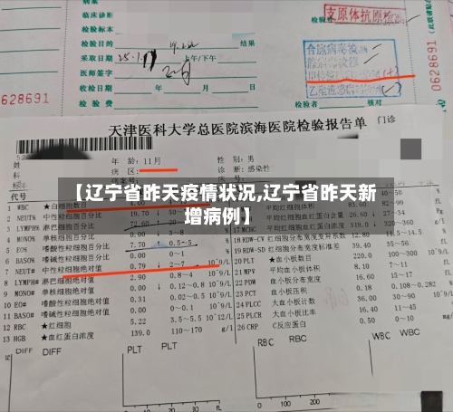 【辽宁省昨天疫情状况,辽宁省昨天新增病例】-第2张图片