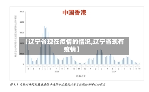 【辽宁省现在疫情的情况,辽宁省现有疫情】-第2张图片