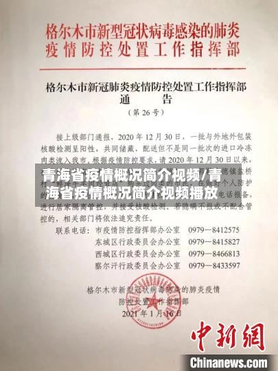 青海省疫情概况简介视频/青海省疫情概况简介视频播放-第2张图片