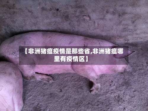 【非洲猪瘟疫情是那些省,非洲猪瘟哪里有疫情区】-第2张图片