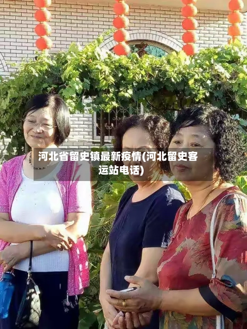 河北省留史镇最新疫情(河北留史客运站电话)-第3张图片