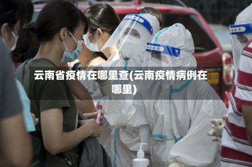 云南省疫情在哪里查(云南疫情病例在哪里)-第2张图片