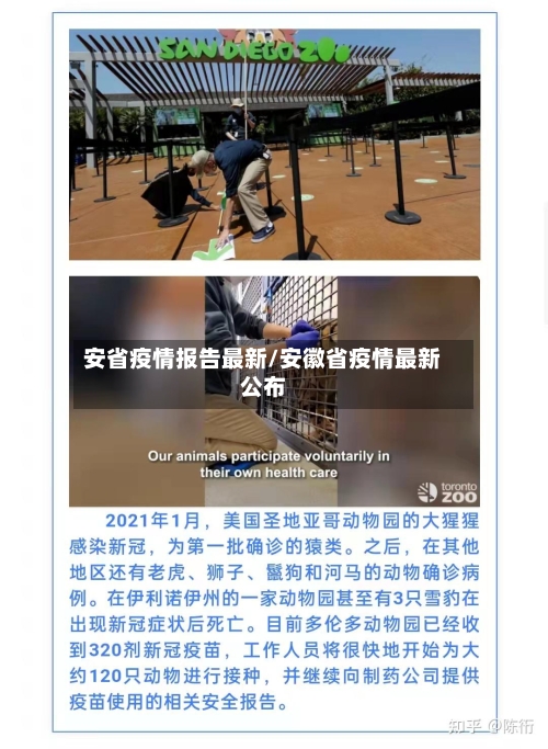 安省疫情报告最新/安徽省疫情最新公布-第1张图片