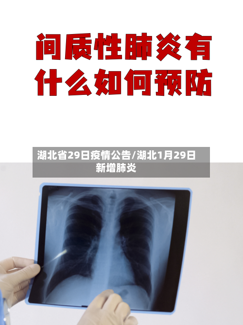湖北省29日疫情公告/湖北1月29日新增肺炎-第3张图片