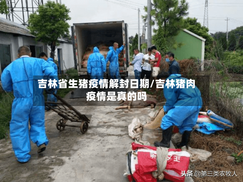 吉林省生猪疫情解封日期/吉林猪肉疫情是真的吗-第2张图片