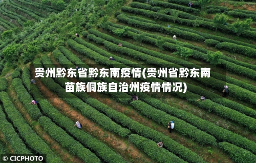 贵州黔东省黔东南疫情(贵州省黔东南苗族侗族自治州疫情情况)-第2张图片