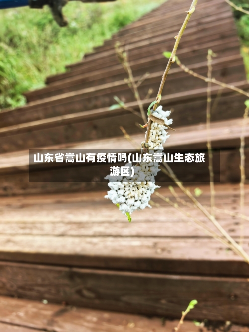 山东省嵩山有疫情吗(山东嵩山生态旅游区)-第1张图片