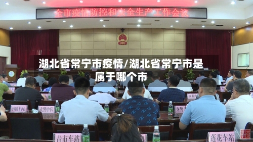 湖北省常宁市疫情/湖北省常宁市是属于哪个市-第1张图片