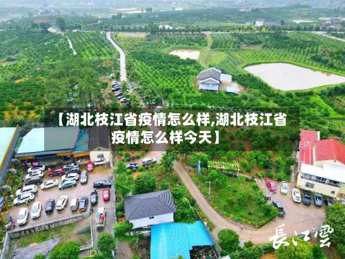 【湖北枝江省疫情怎么样,湖北枝江省疫情怎么样今天】-第1张图片