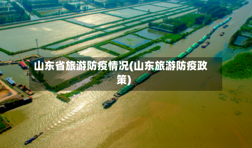 山东省旅游防疫情况(山东旅游防疫政策)-第1张图片