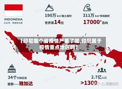 【印尼哪个省疫情严重了呢,印尼属于疫情重点地区吗】-第2张图片