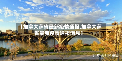 【加拿大萨省最新疫情通报,加拿大萨省最新疫情通报消息】-第2张图片