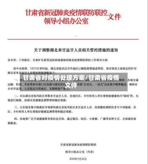 甘肃省对疫情处理方案/甘肃省疫情文件-第3张图片