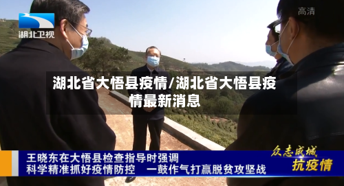 湖北省大悟县疫情/湖北省大悟县疫情最新消息-第2张图片