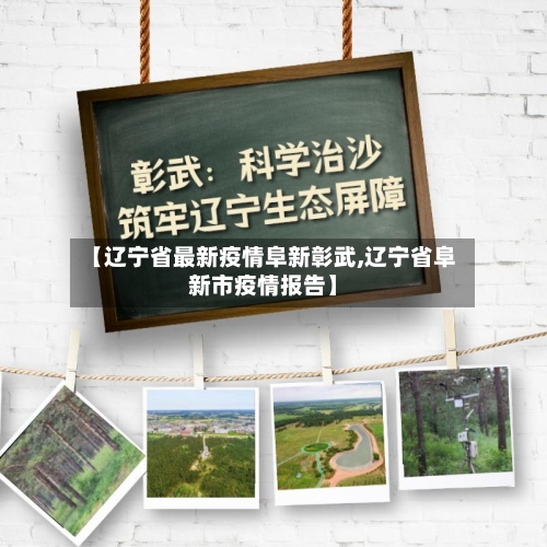 【辽宁省最新疫情阜新彰武,辽宁省阜新市疫情报告】-第1张图片