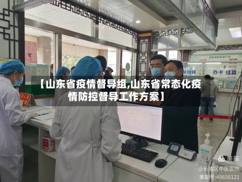 【山东省疫情督导组,山东省常态化疫情防控督导工作方案】-第3张图片