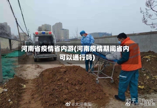 河南省疫情省内游(河南疫情期间省内可以通行吗)-第1张图片
