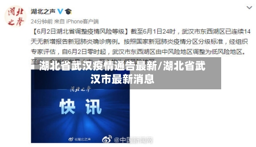 湖北省武汉疫情通告最新/湖北省武汉市最新消息-第3张图片