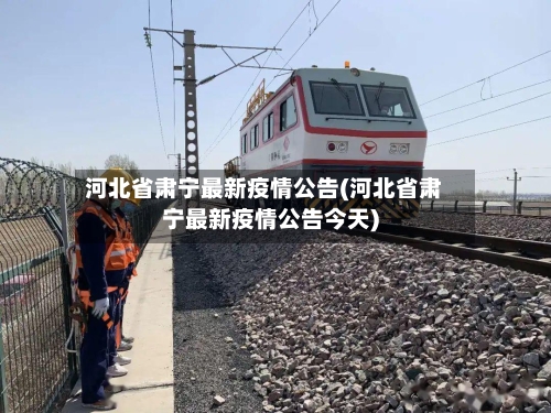 河北省肃宁最新疫情公告(河北省肃宁最新疫情公告今天)-第2张图片