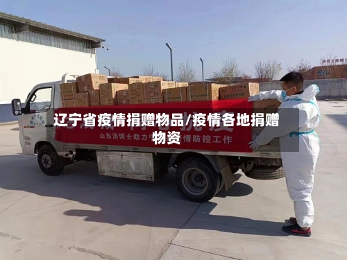 辽宁省疫情捐赠物品/疫情各地捐赠物资-第1张图片
