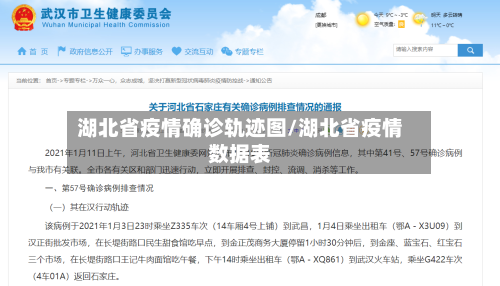 湖北省疫情确诊轨迹图/湖北省疫情数据表-第2张图片