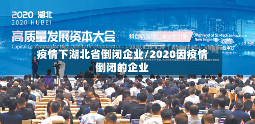 疫情下湖北省倒闭企业/2020因疫情倒闭的企业-第3张图片