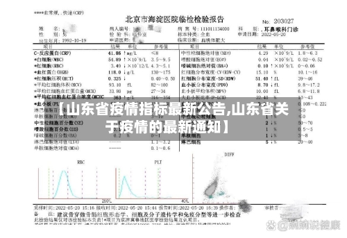 【山东省疫情指标最新公告,山东省关于疫情的最新通知】-第3张图片