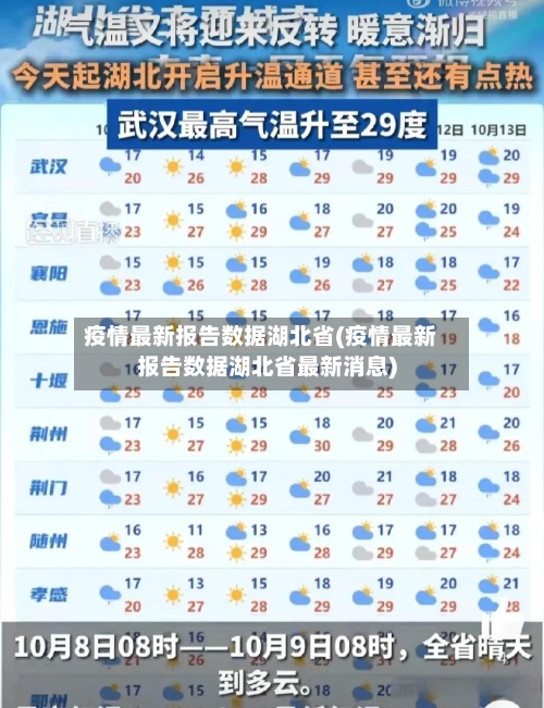 疫情最新报告数据湖北省(疫情最新报告数据湖北省最新消息)-第1张图片