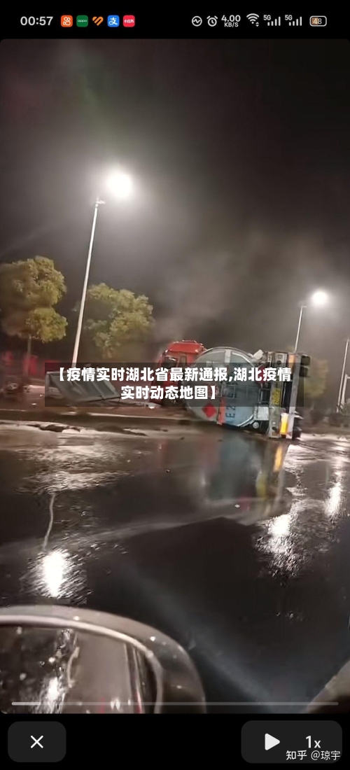 【疫情实时湖北省最新通报,湖北疫情实时动态地图】-第2张图片